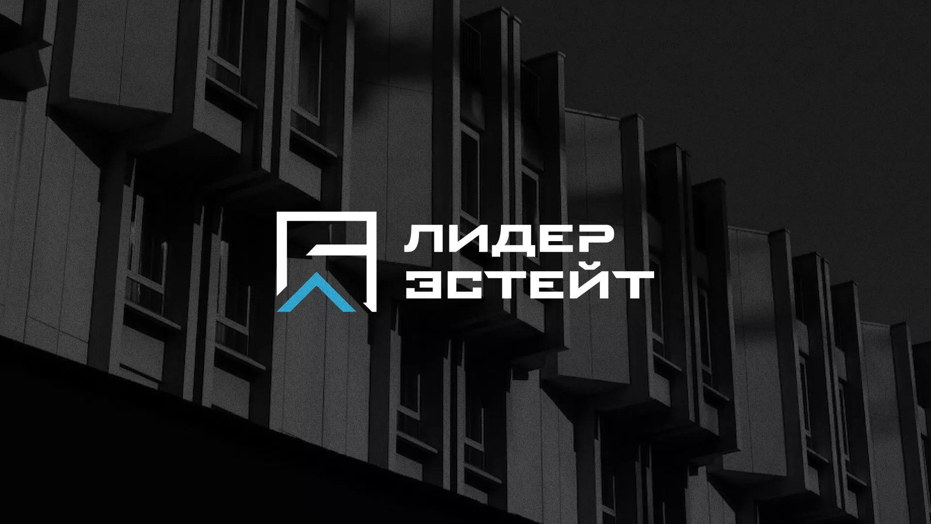 Разработка логотипа агентства недвижимости «Лидер Эстейт» в Печоре